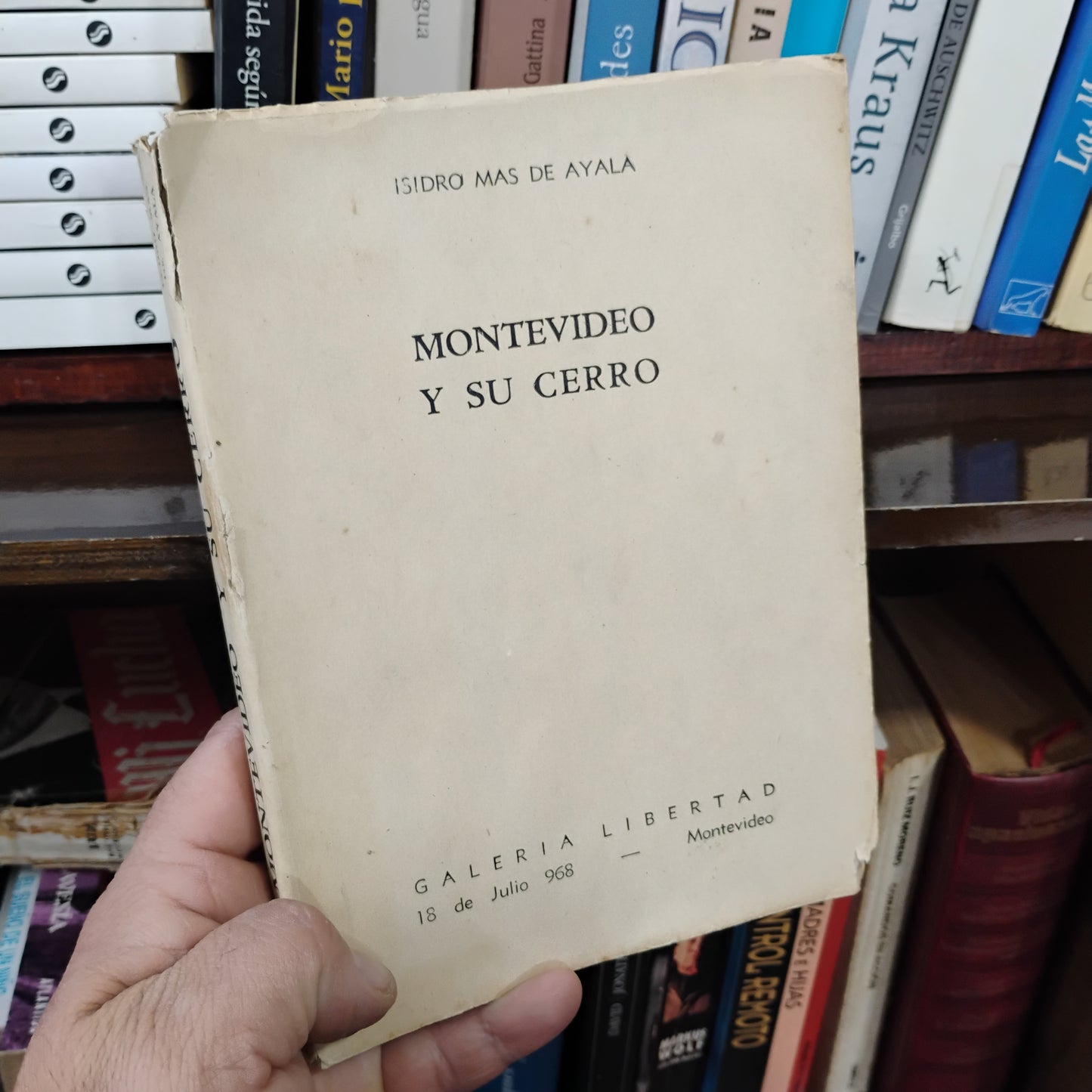 Montevideo y su cerro - Isidro Más de Ayala