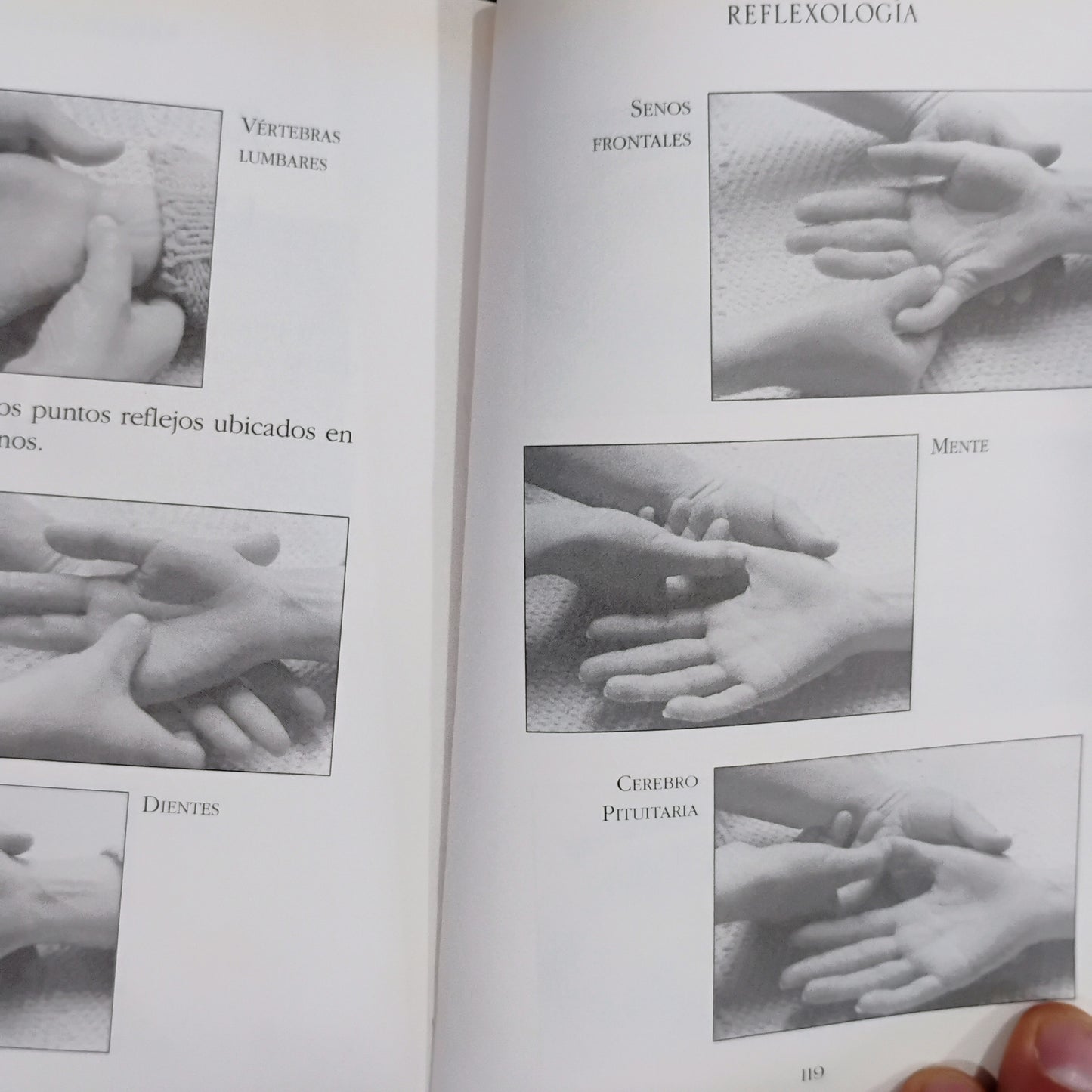 REFLEXOLOGÍA. Guía práctica - Maurice P. Lachèret
