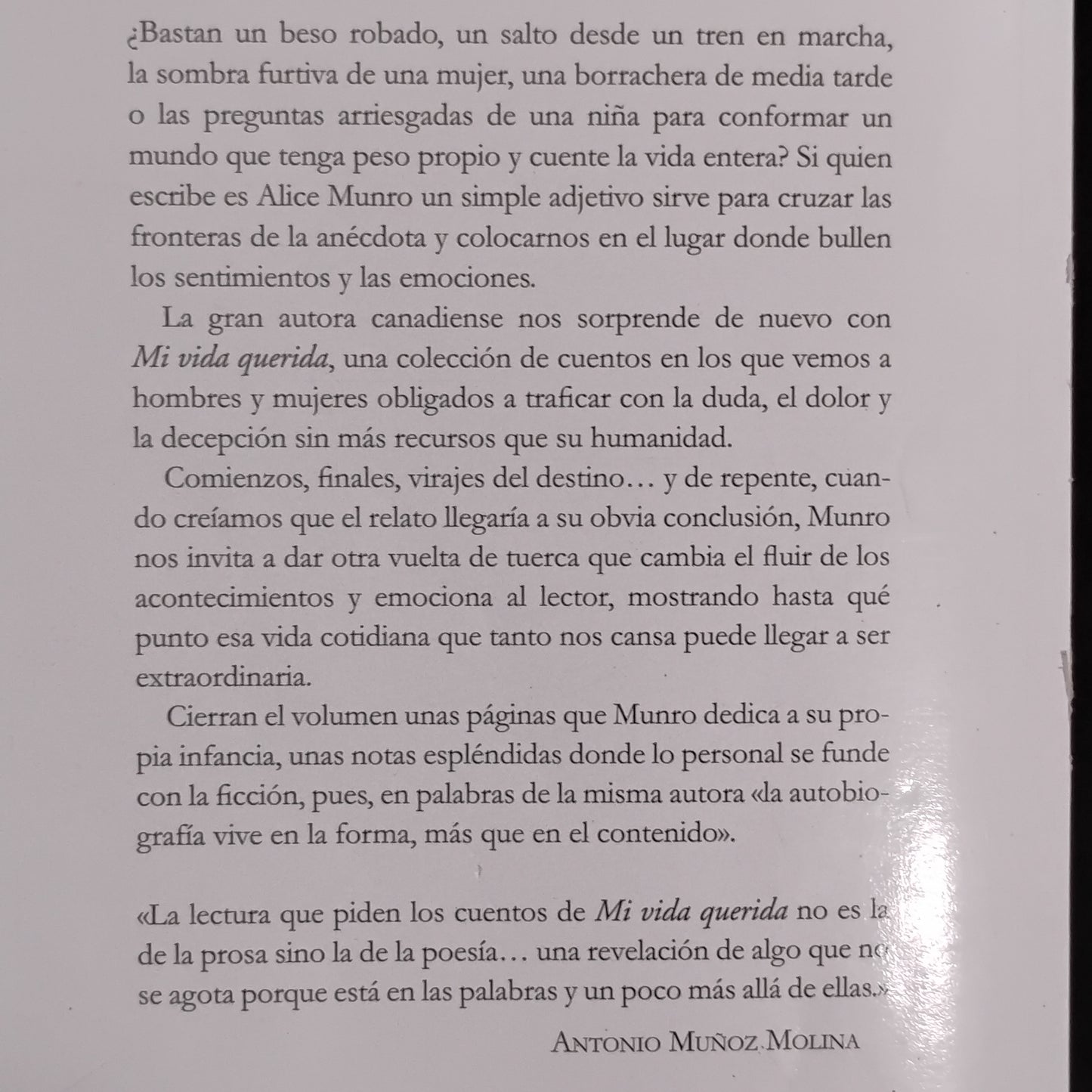Mi vida querida - Alice Munro