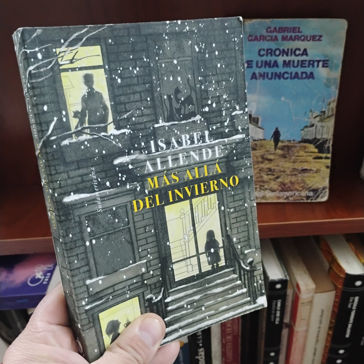 Más allá del invierno - Isabel Allende