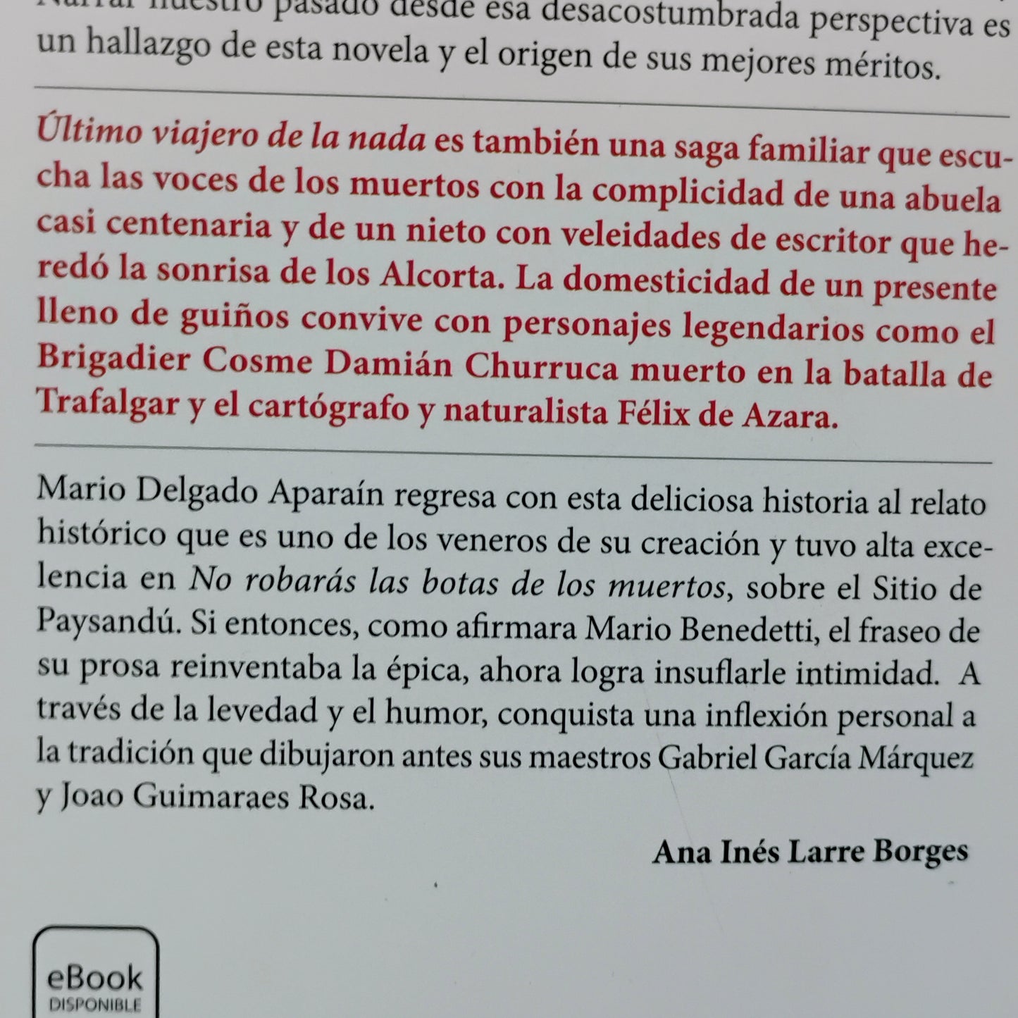 Último viajero de la nada - Mario Delgado Aparaín