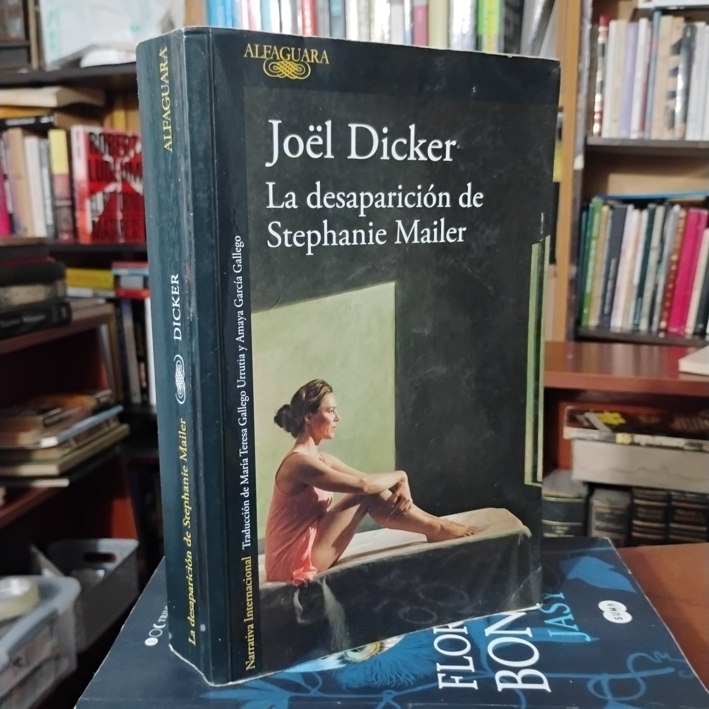 La desaparición de Stephanie Mailer - Jöel Dicker