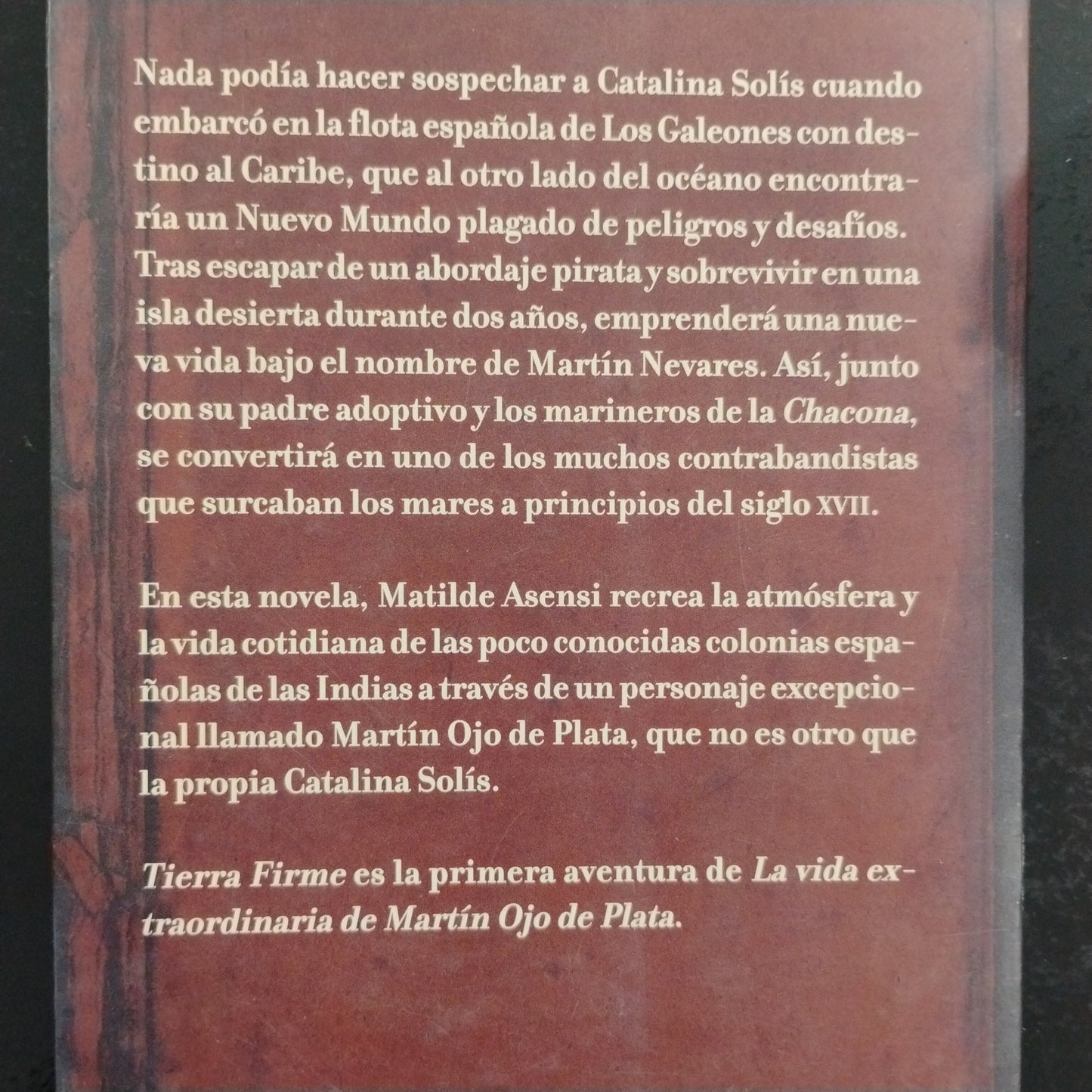Tierra firme. La vida extraordinaria de Martín Ojo de Plata - Matilde Asensi