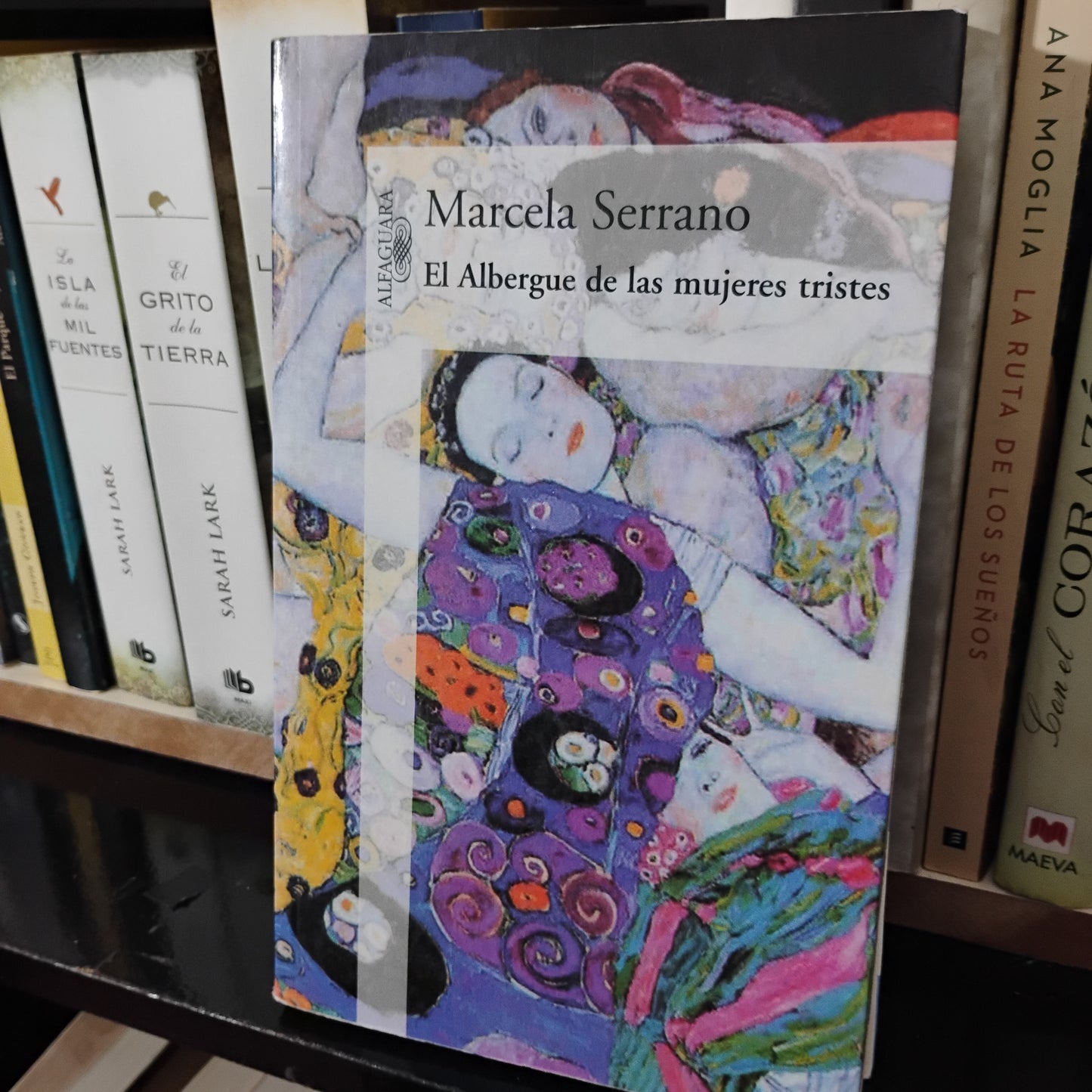 El albergue de las mujeres tristes - Marcela Serrano