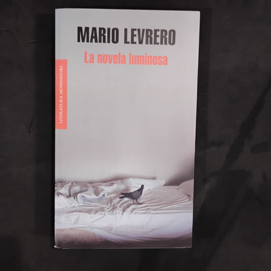 La novela luminosa - Mario Levrero