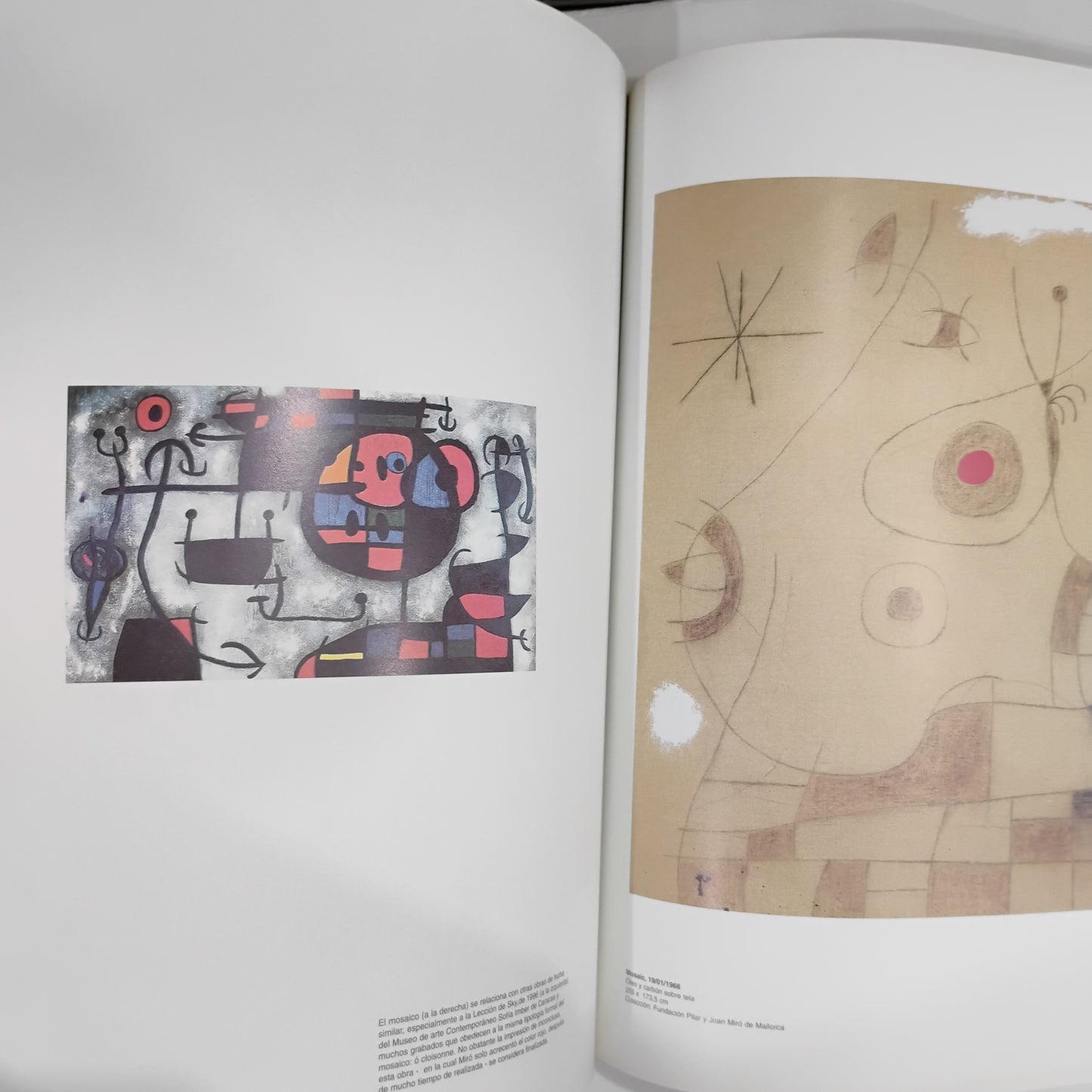 Miró - Caminos de la expresión