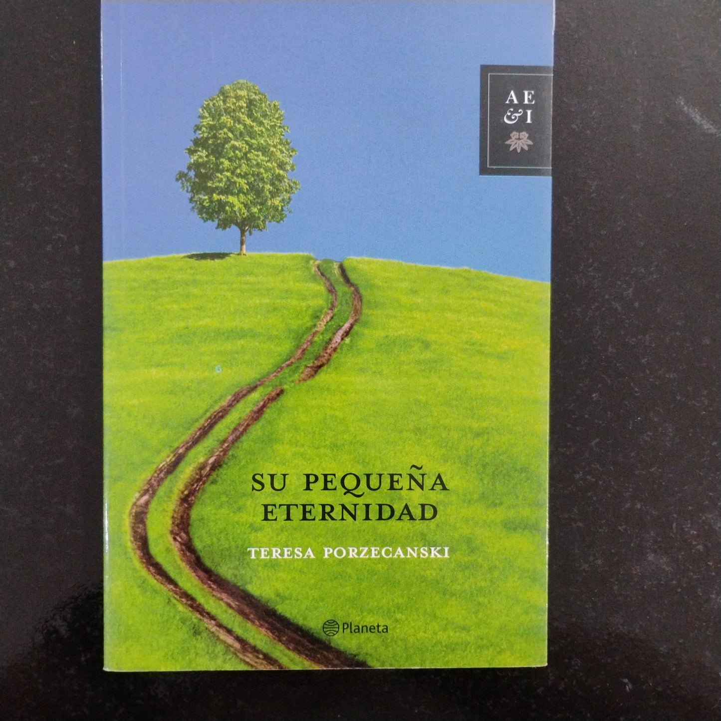 Su pequeña eternidad - Teresa Porzecanski