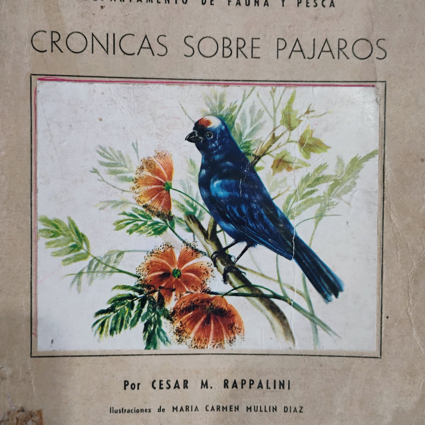 Crónicas sobre pájaros - César M. Rappalini. María Carmen Mullin Díaz (ilustraciones)