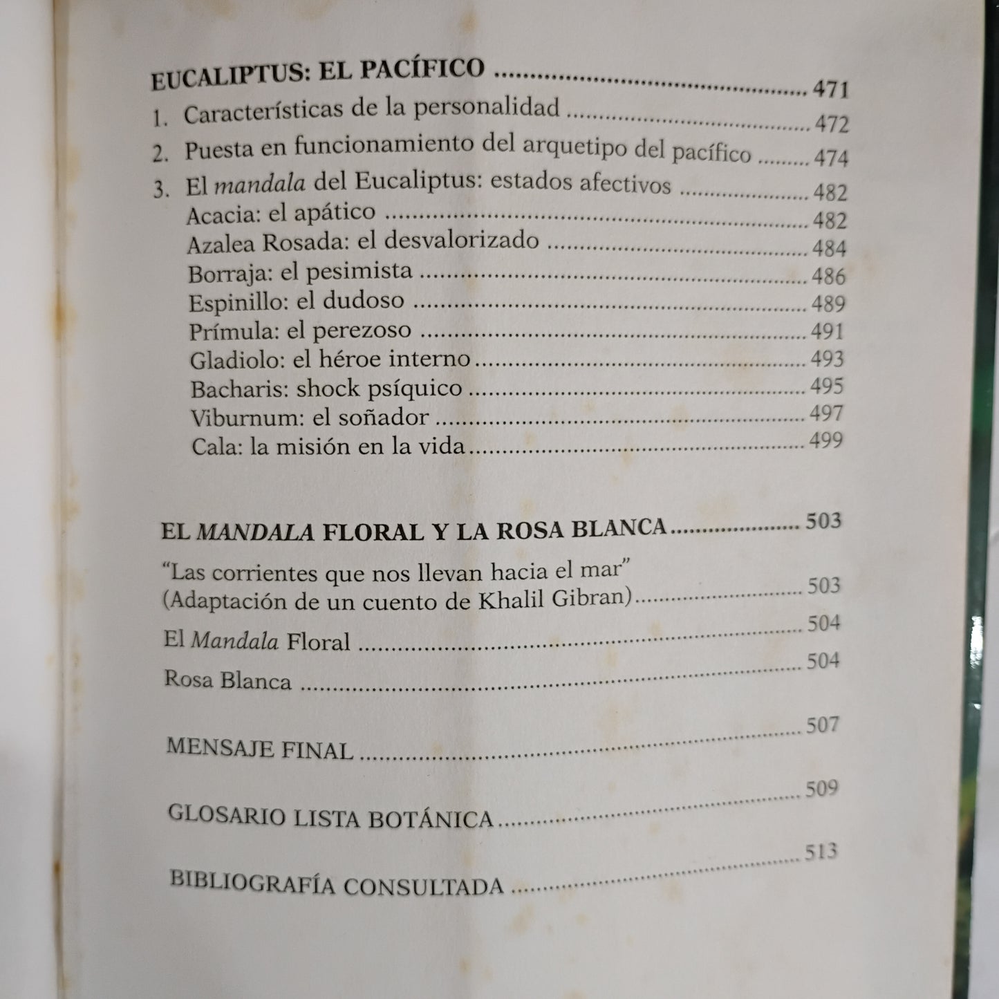 Una Medicina del Ser. Medicina Arquetípica de Flores y Hierbas del Uruguay - Bernardo Ferrando