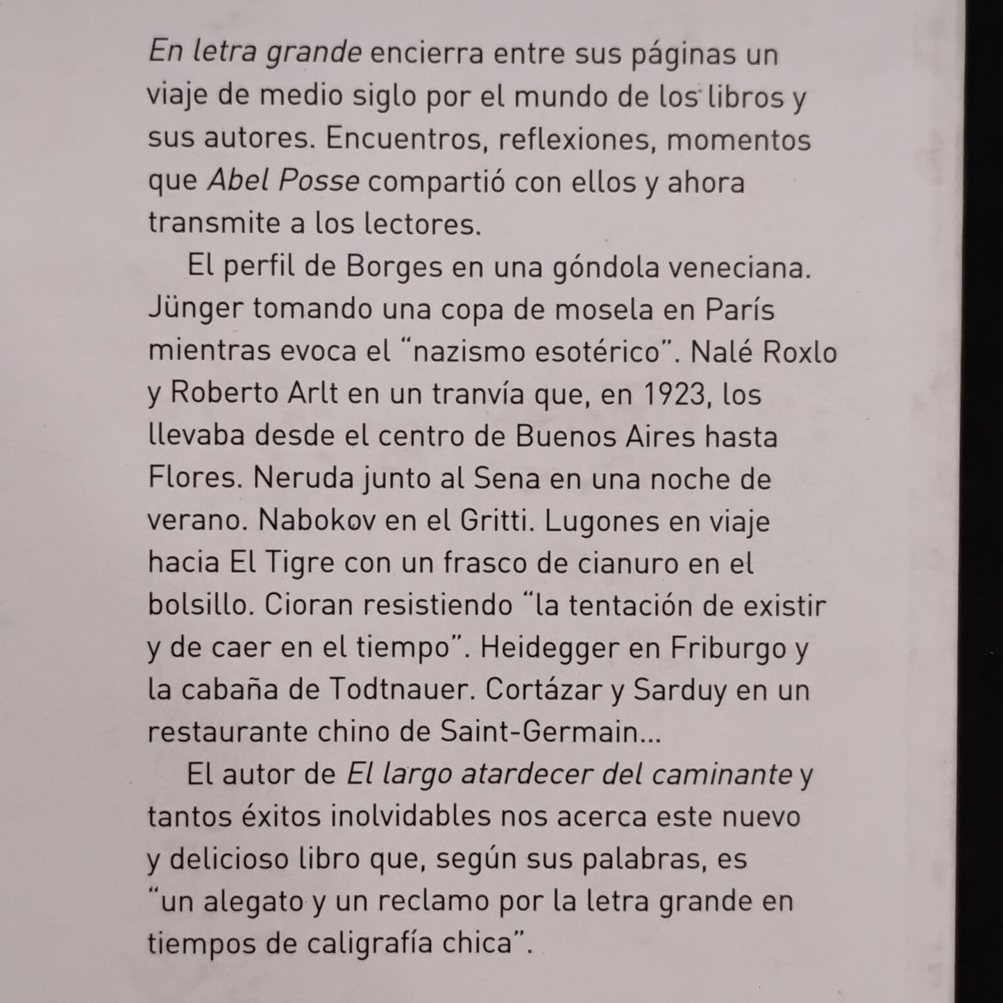En letra grande - Abel Posse