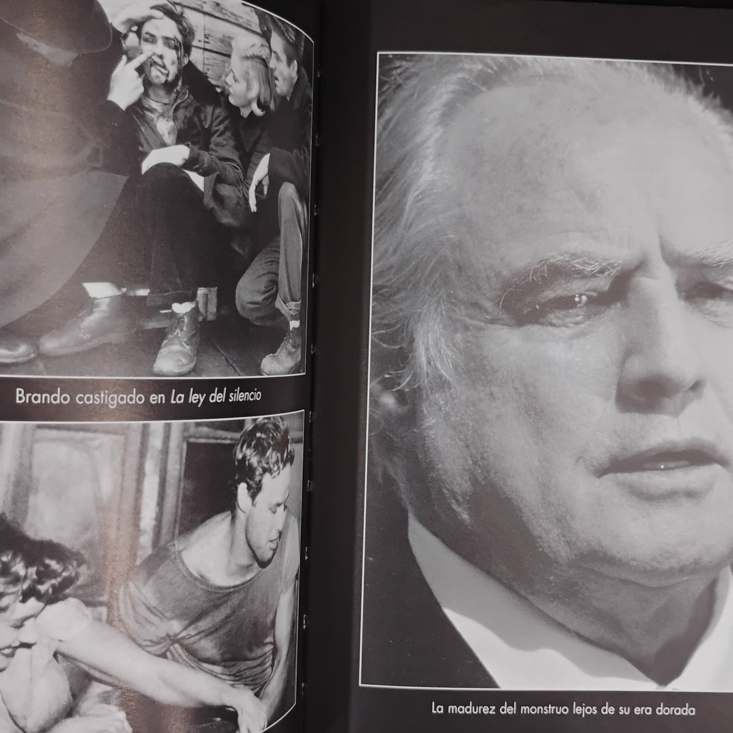 Todo sobre Marlon Brando. De la A a la Z - Miguel Juan payan