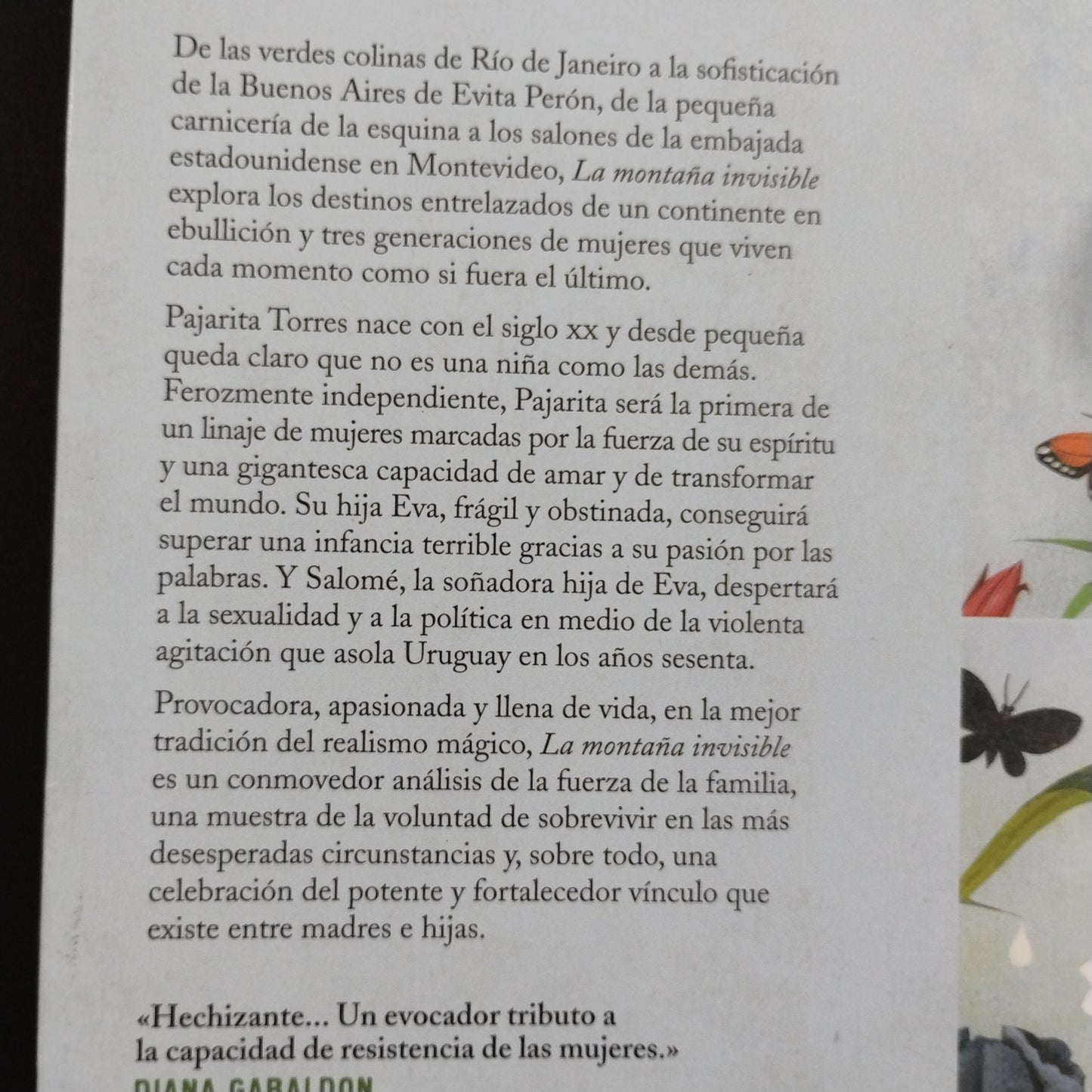 La montaña invisible - Carolina De Robertis