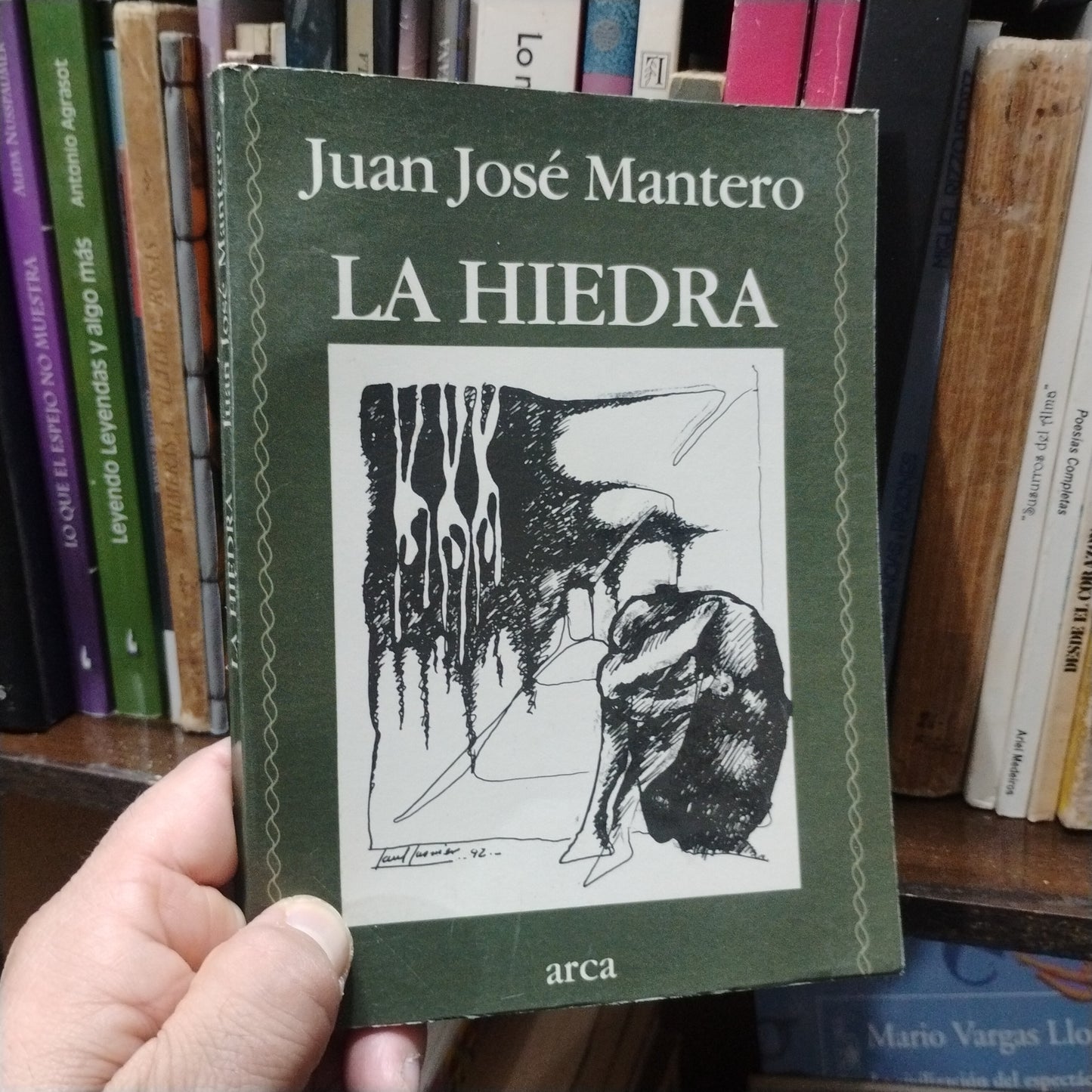 La hiedra - Juan José Mantero