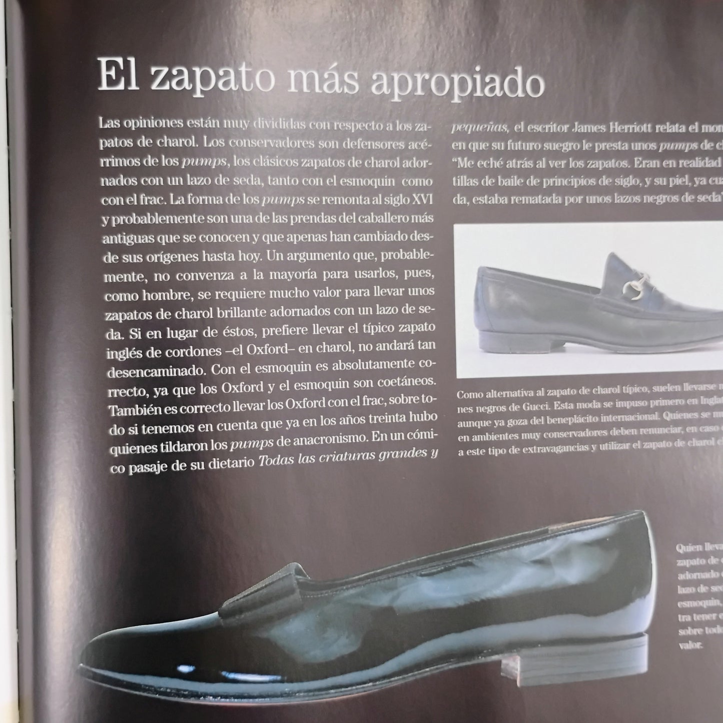 EL CABALLERO. Manual de moda masculina clásica - Bernhardt Roetzel