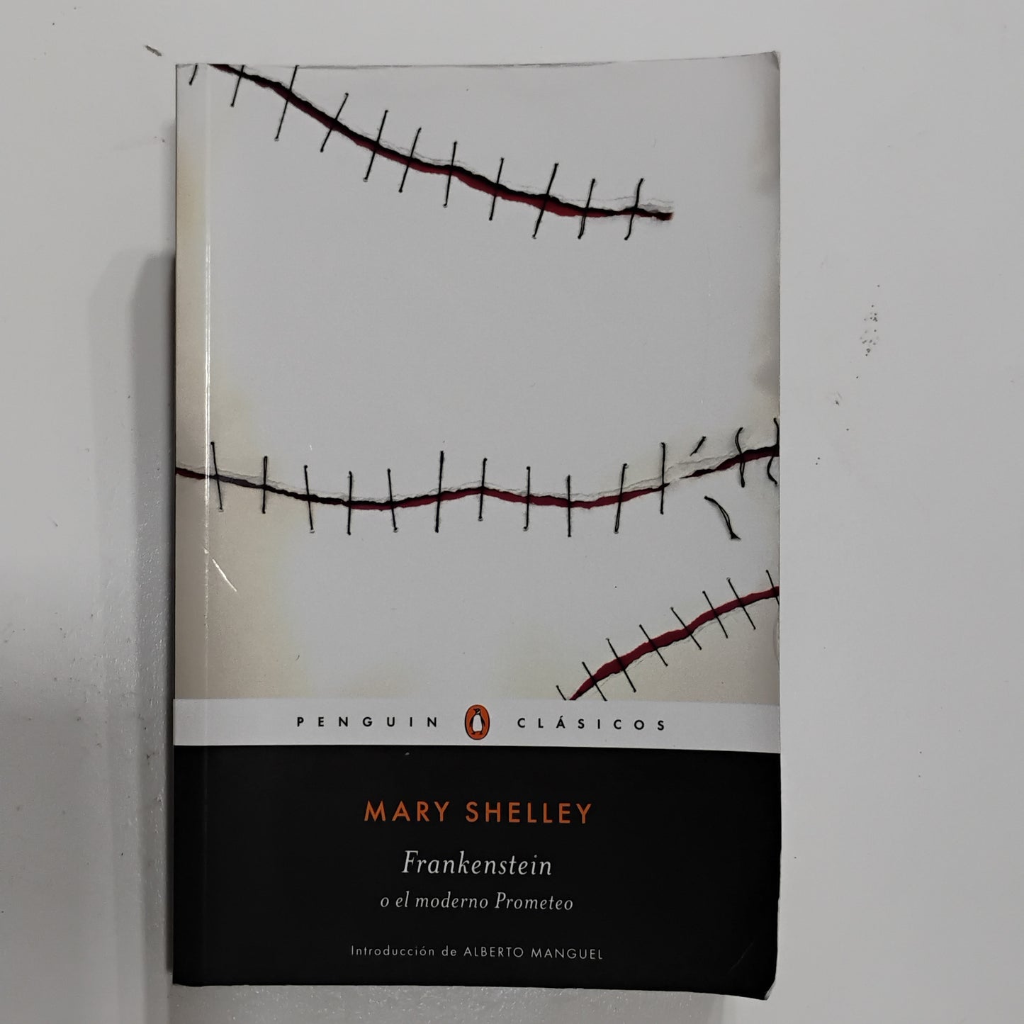 Frankestein o el moderno Prometeo - Mary Shelley