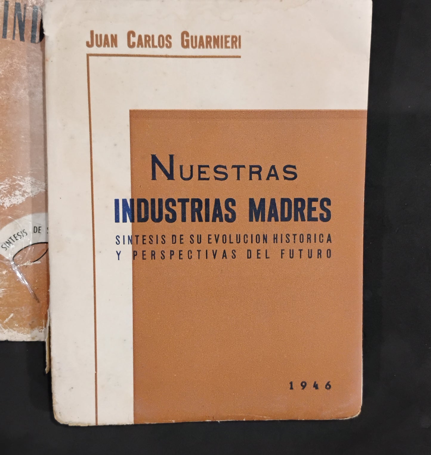 Nuestras Industrias Madres. Síntesis de su evolución histórica y perspectivas del futuro - Juan Carlos Guarnieri