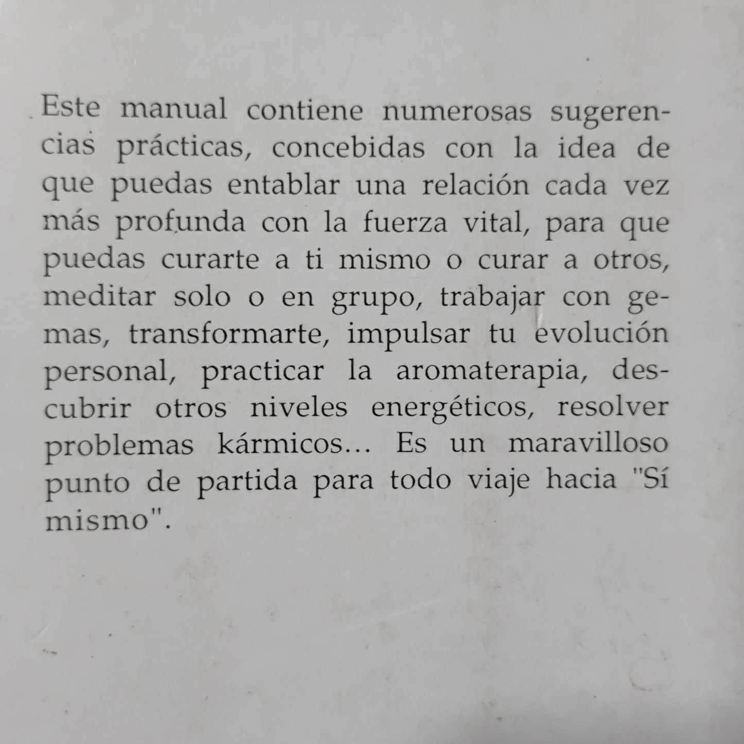 REIKI. Guía práctica para el sendero del amor curativo - Walter Lübeck