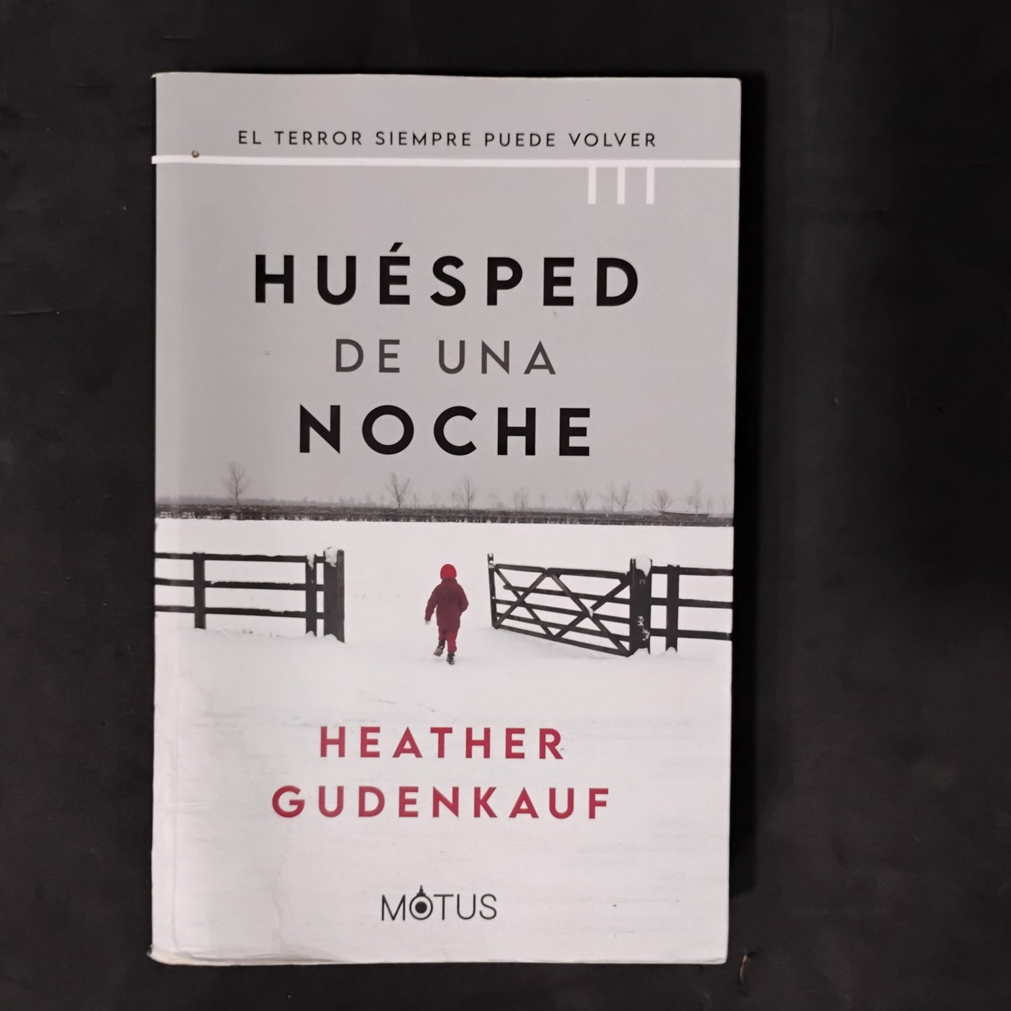 Huésped de una noche - Heather Gudenkauf