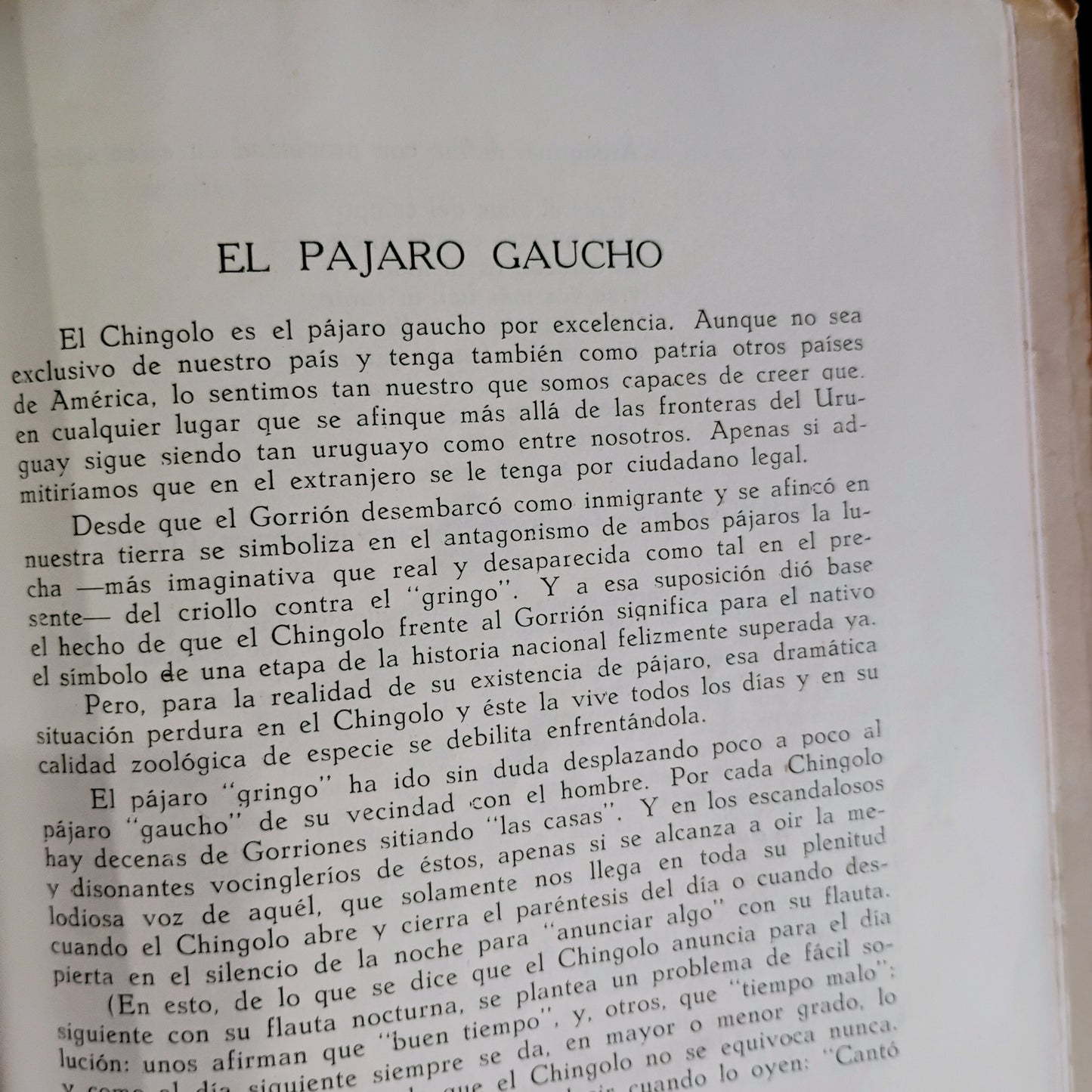 Crónicas sobre pájaros - César M. Rappalini. María Carmen Mullin Díaz (ilustraciones)