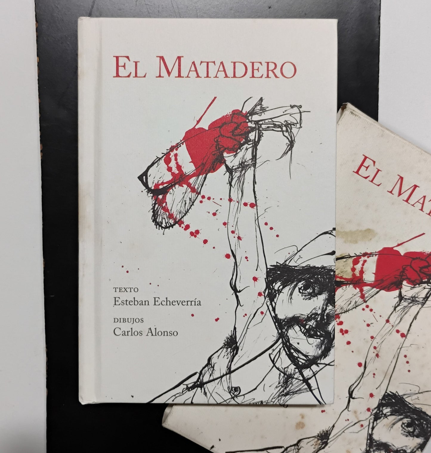 El matadero - Esteban Echevarría