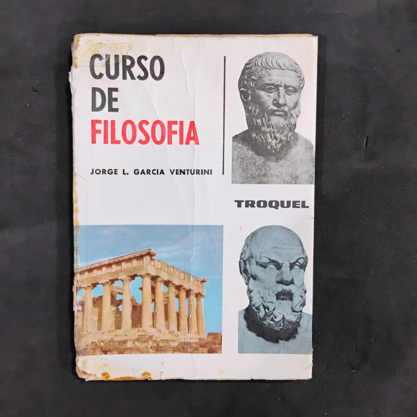 Curso de Filosofía - Jorge L. García Venturini