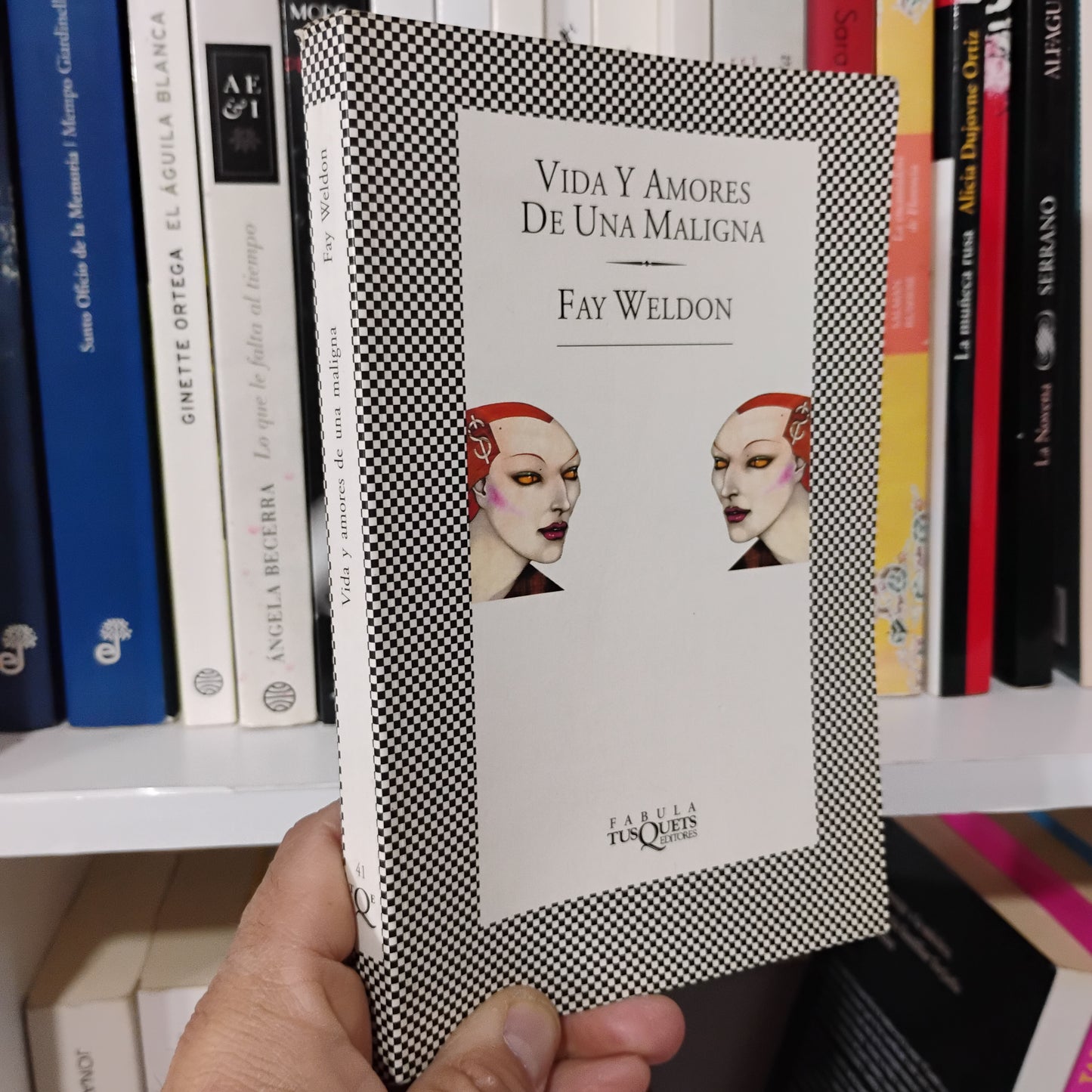 Vida y amores de una maligna - Fay Weldon