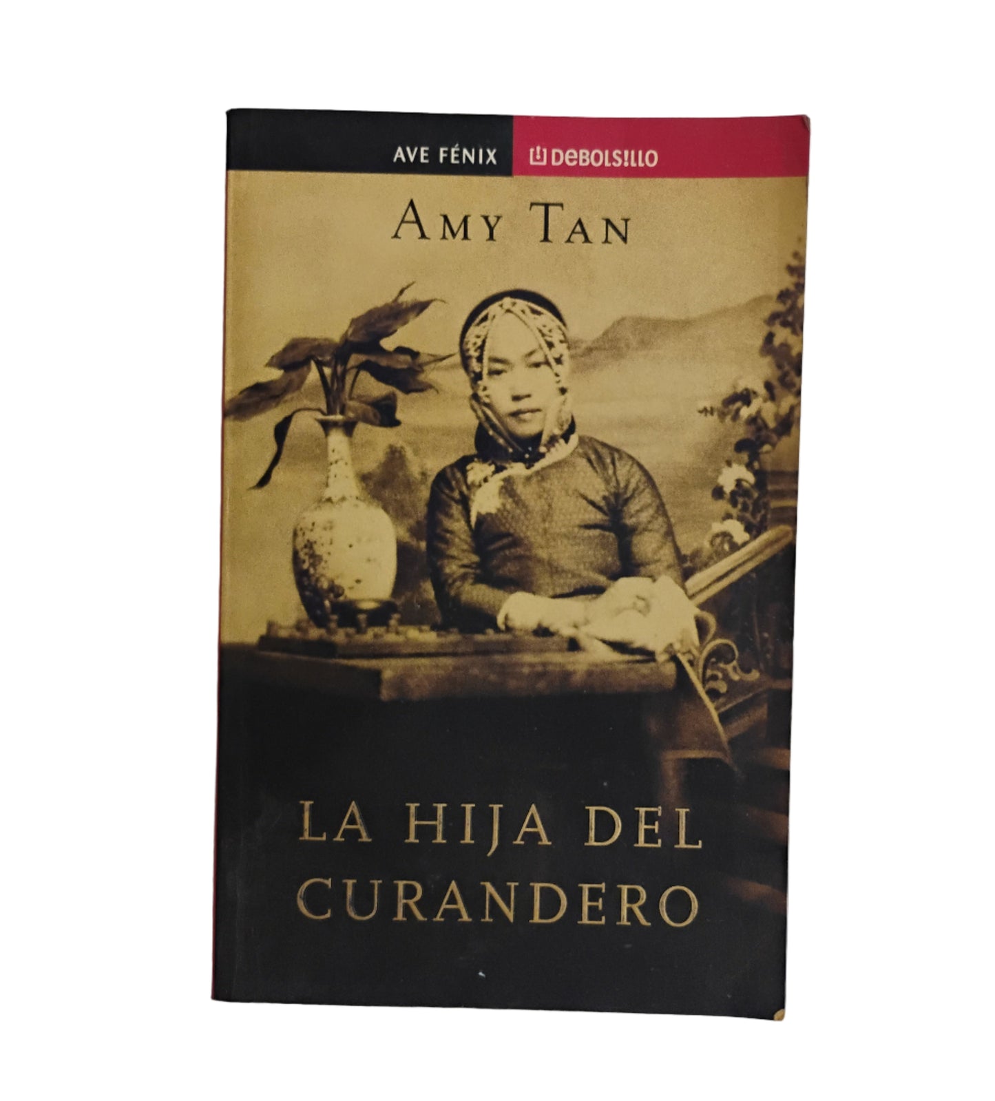 La hija del curandero - Amy Tan