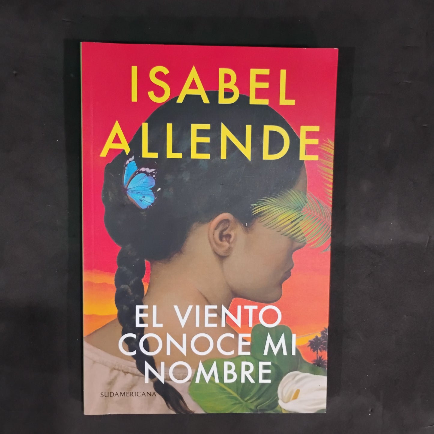 El viento conoce mi nombre - Isabel Allende