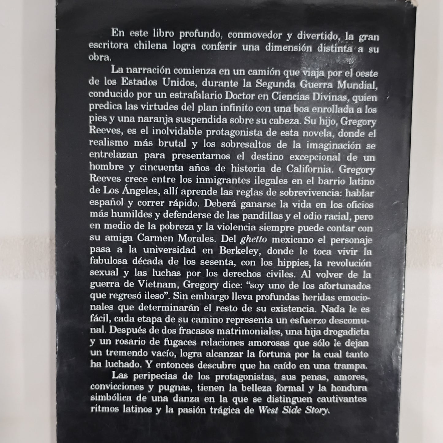 El plan infinito - Isabel Allende