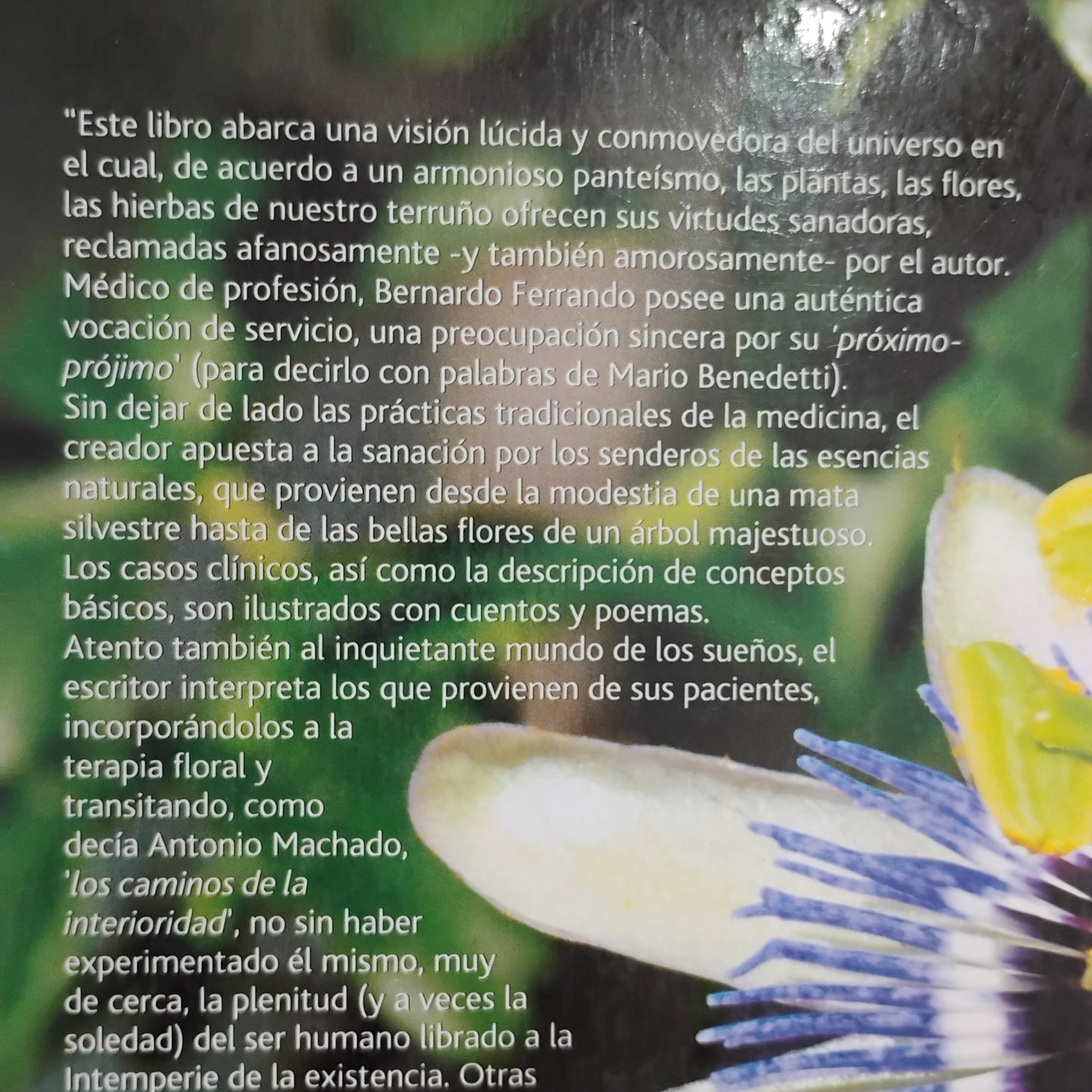 Una Medicina del Ser. Medicina Arquetípica de Flores y Hierbas del Uruguay - Bernardo Ferrando
