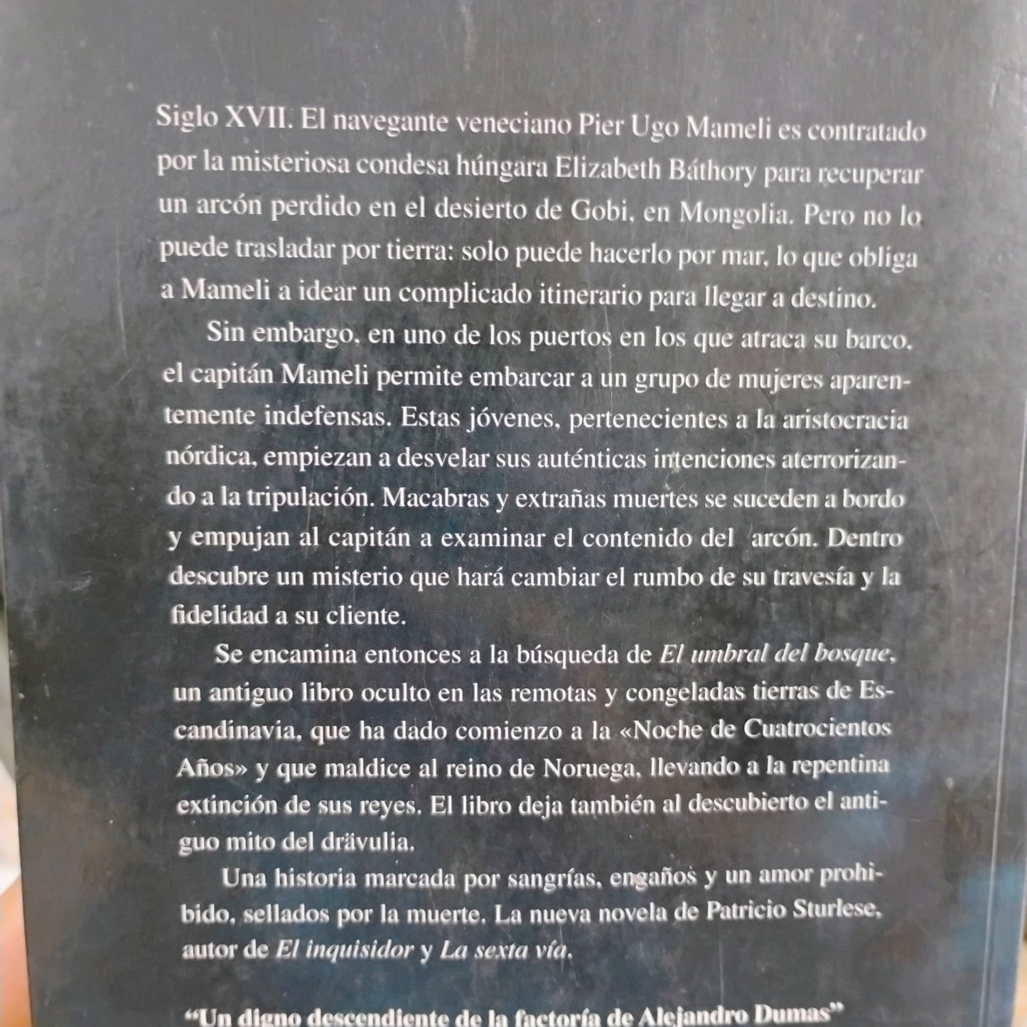 El umbral del bosque - Patricio Sturlese