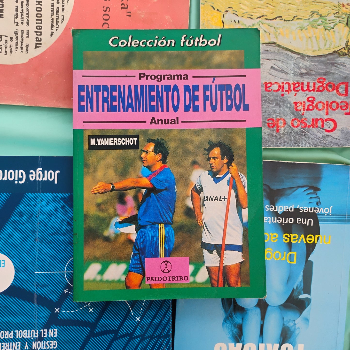 Entrenamiento de Fútbol. Programa anual - M. Vanierschot