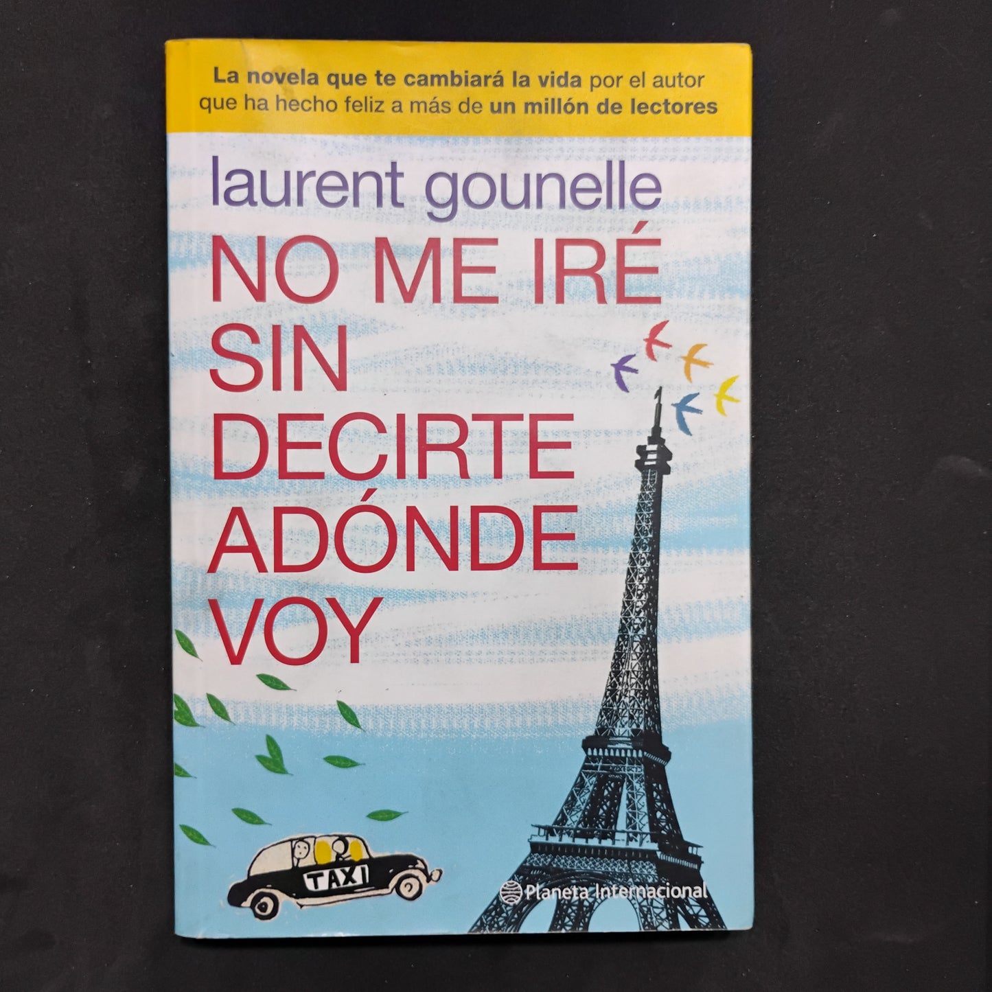 No me iré sin decirte adónde voy - Lauren Gounelle