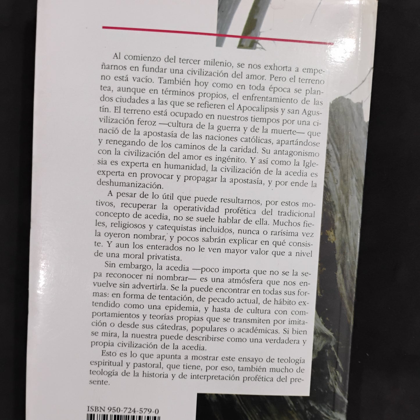 En mi sed me dieron vinagre. La civilización de la acedia - Horacio Bojorge
