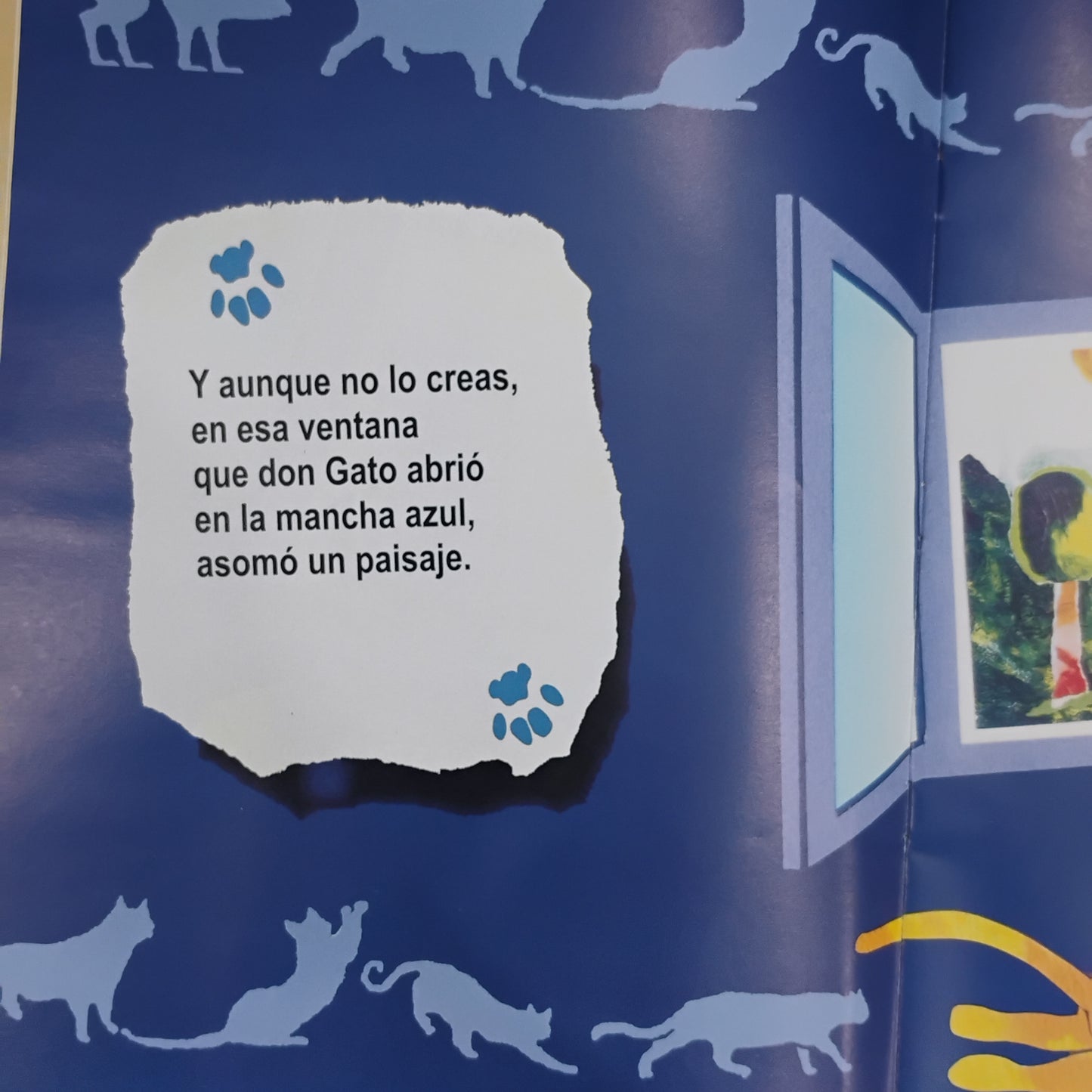 Don Gato abre ventanas - Sergio Lopez Suárez