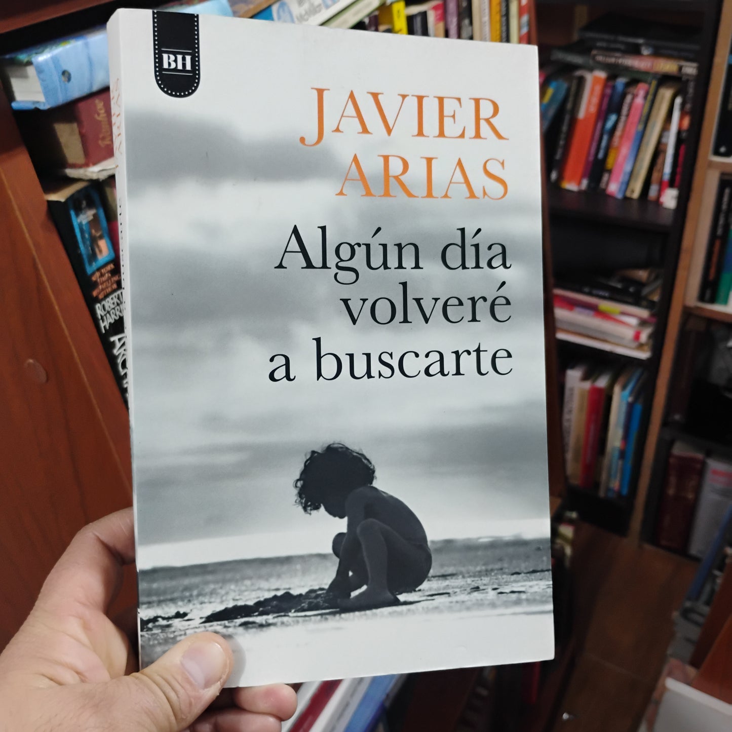 Algún Día Volveré A Buscarte - Javier Arias