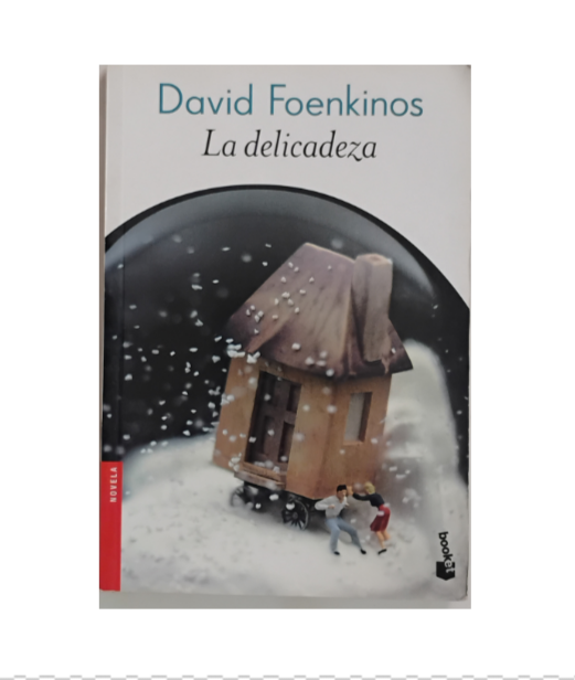 La delicadeza - David Foenkinos