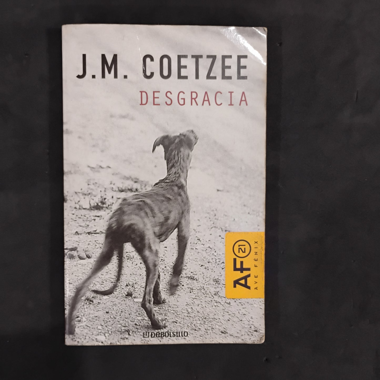 Desgracia - J. M. Coetzee