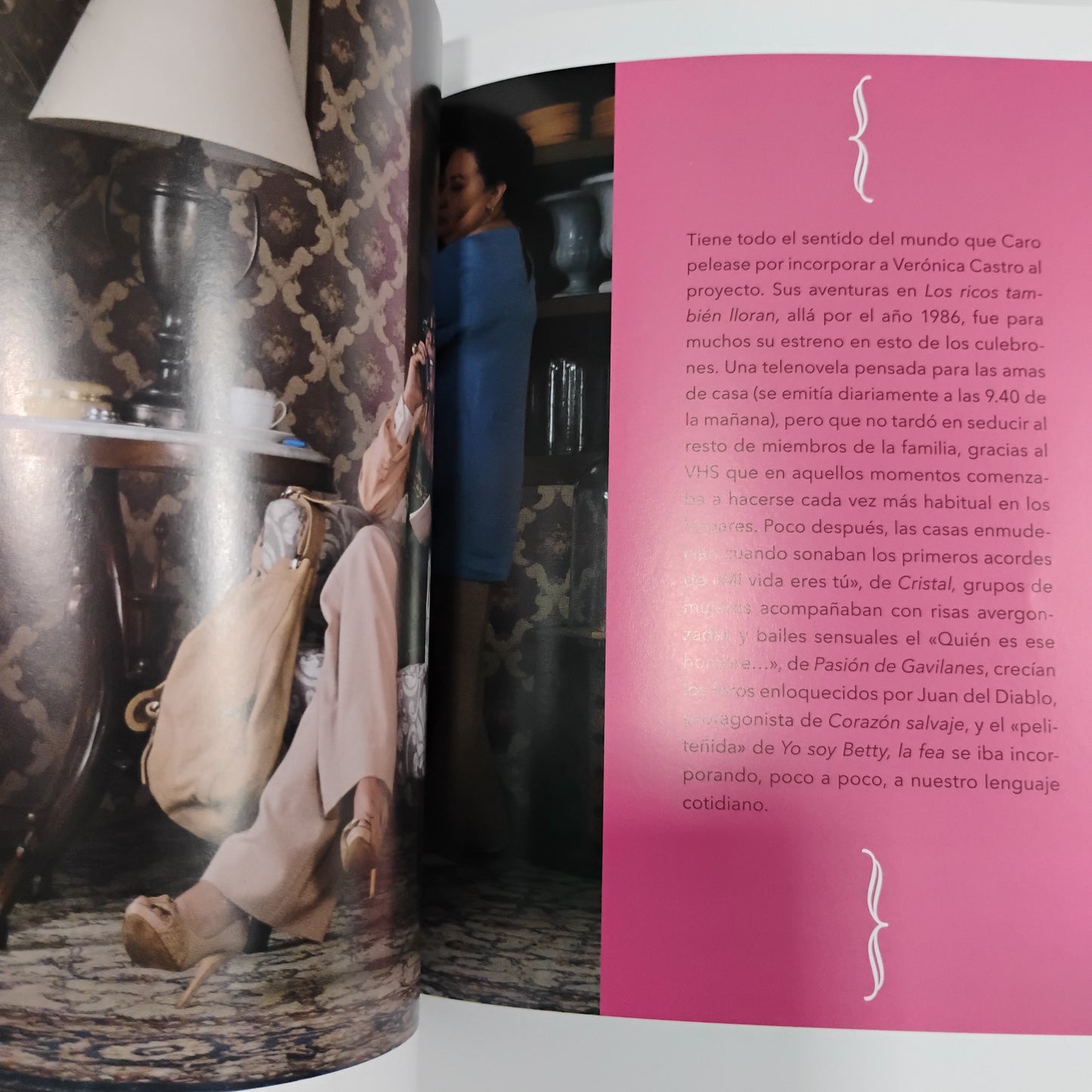LA CASA DE LAS FLORES (Fanbook de la serie de NETFLIX)
