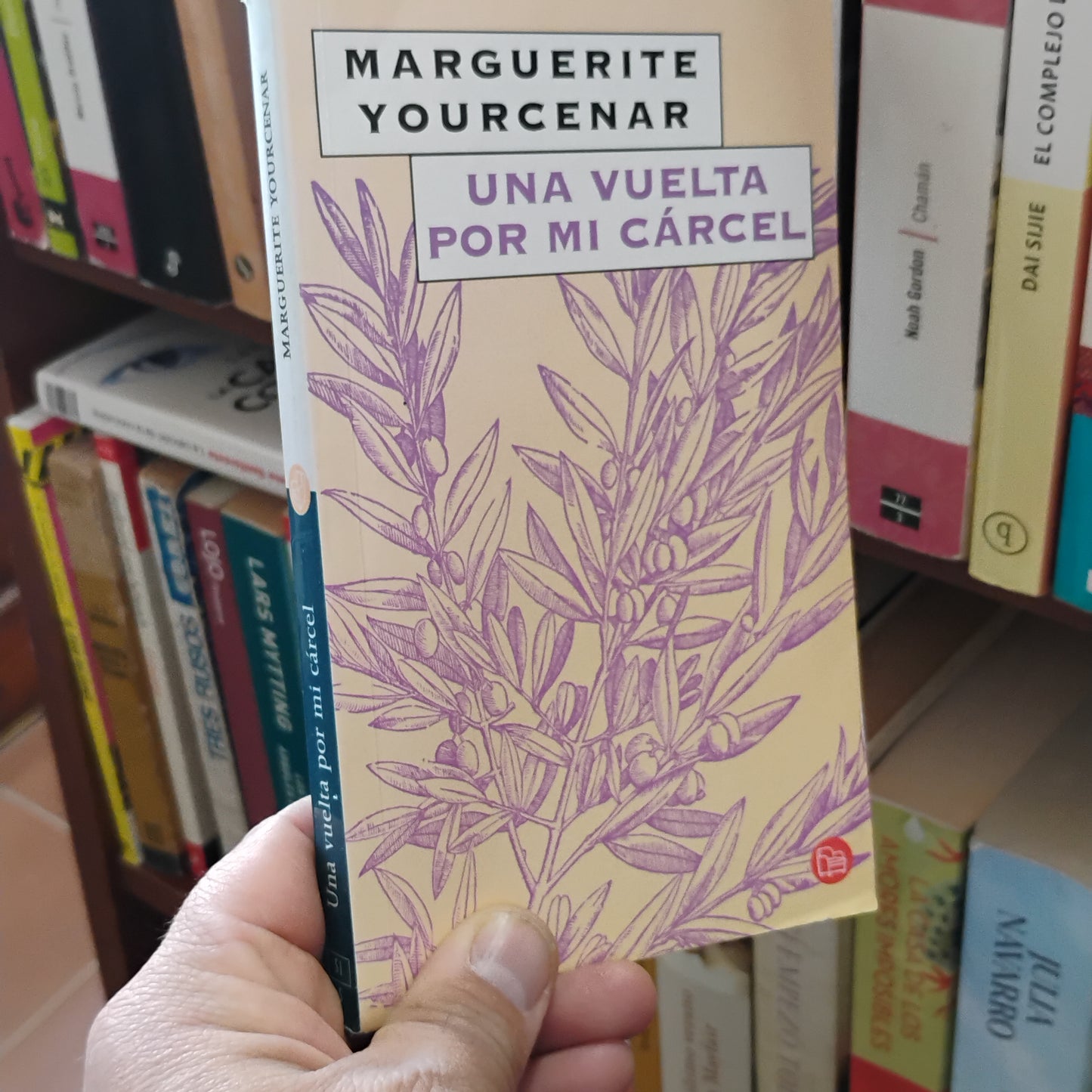 Una vuelta por mi cárcel - Marguerite Yourcenar
