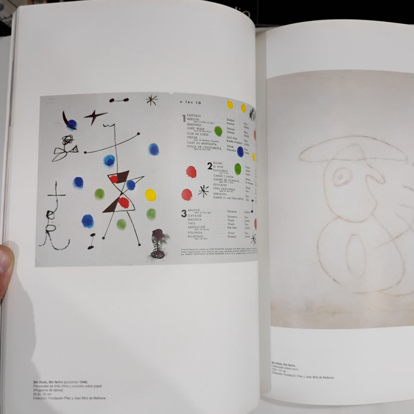 Miró - Caminos de la expresión