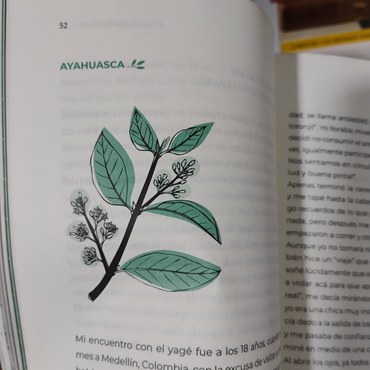 Fitness espiritual. Un viaje interior para encontrar la plenitud - Agustina D'Andraia