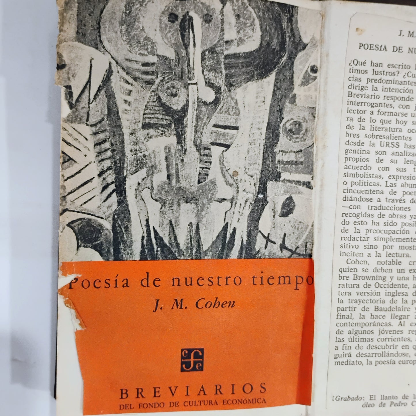 Poesía - Cohen