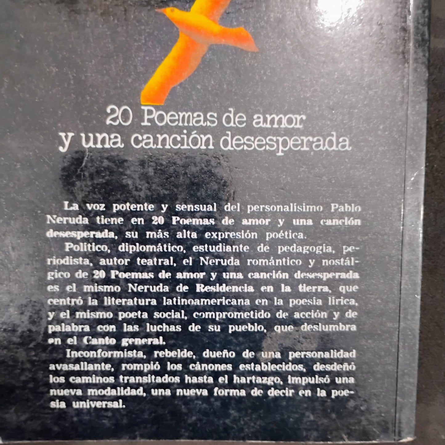 20 poemas de amor y una canción desesperada - Pablo Neruda