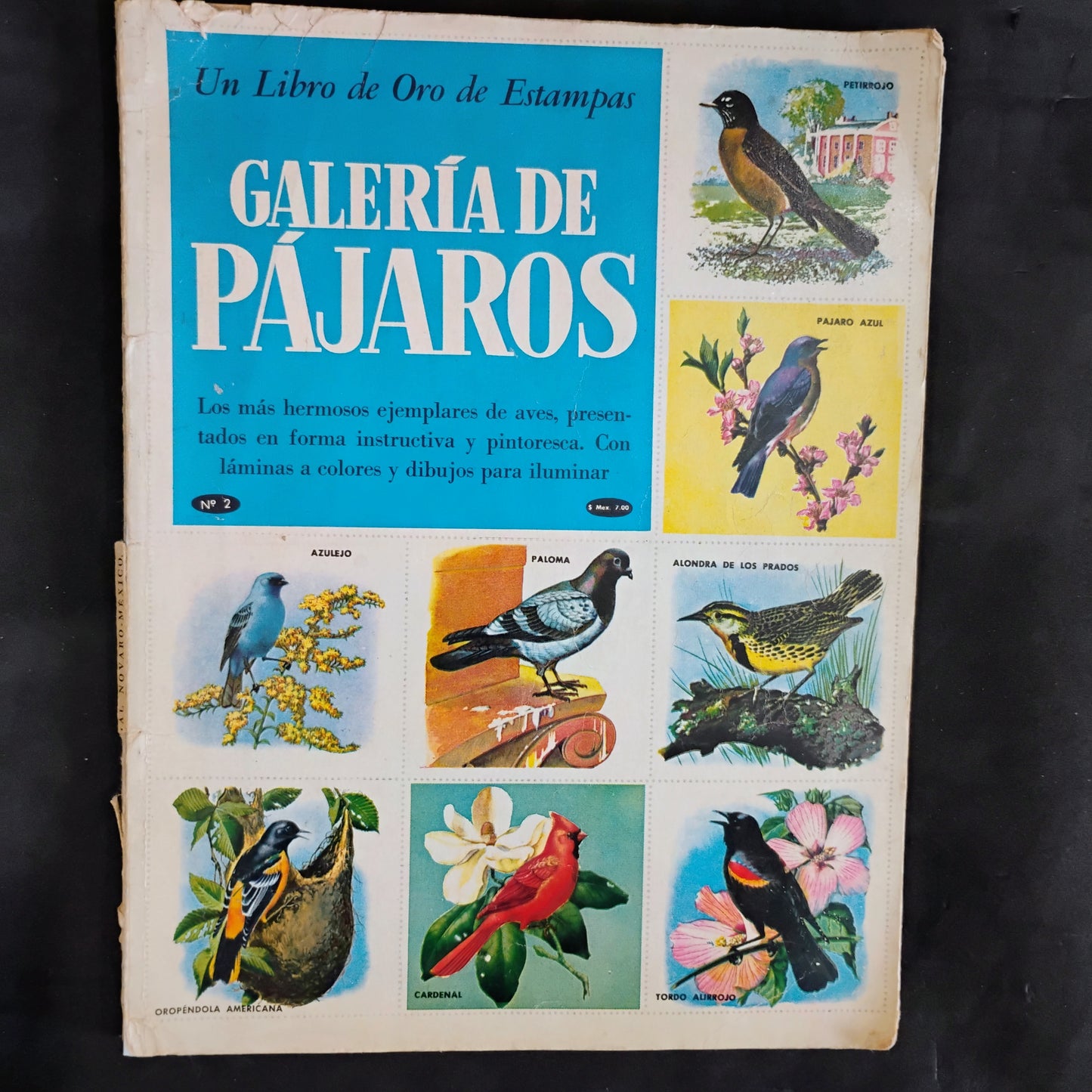 Galería de pájaros