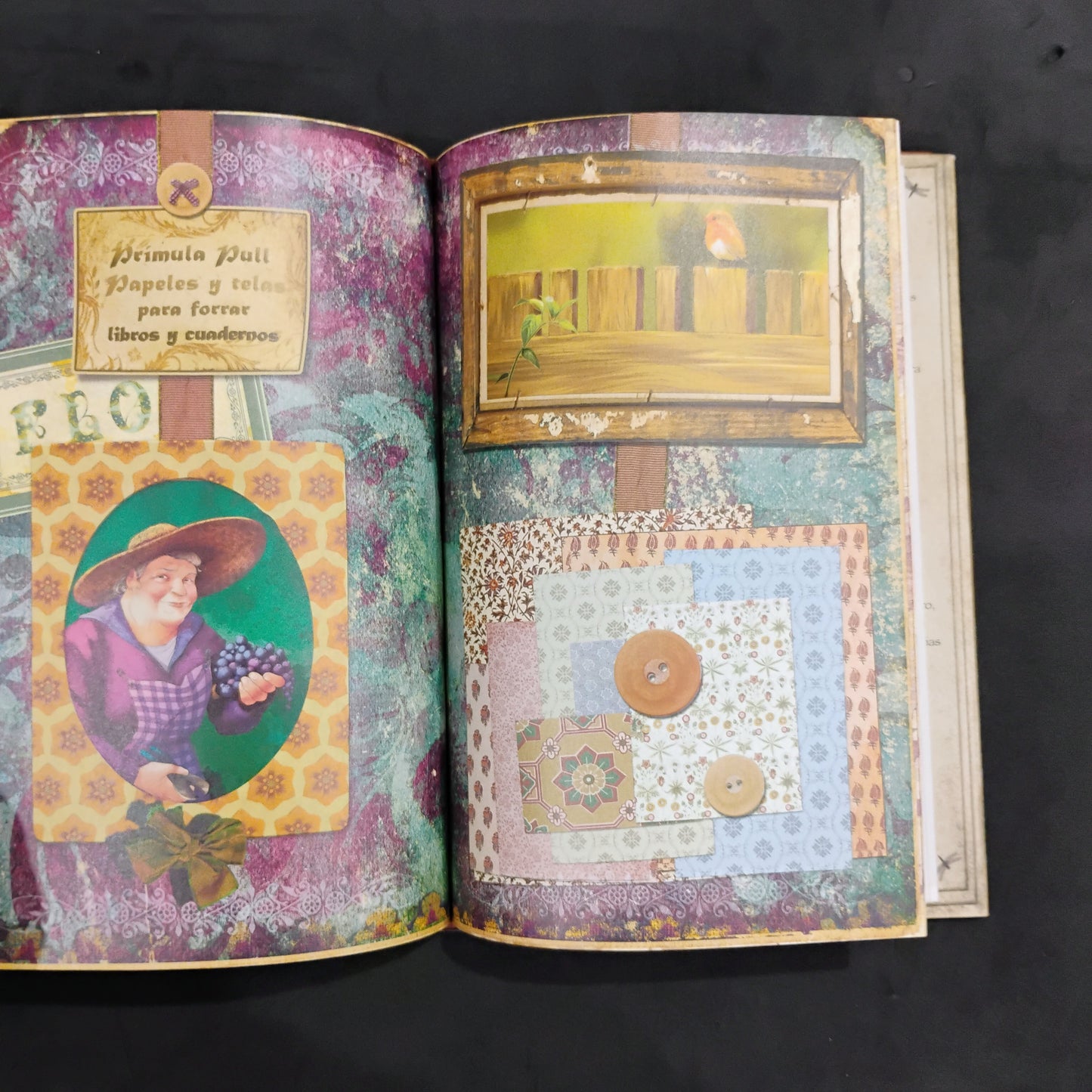 Flox de los colores. Fairy Oak - Elizabeth Gnone