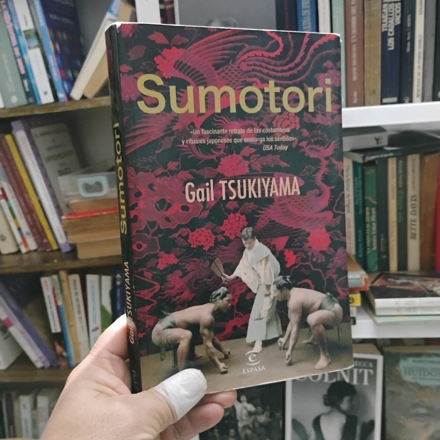 Sumotori - Gail Tsukiyama