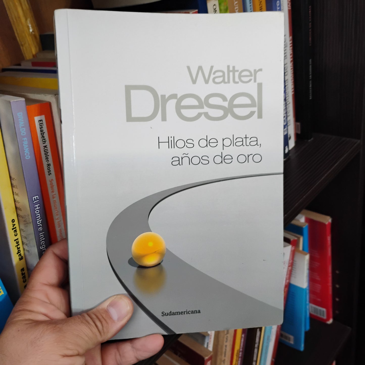 Hilos de plata, años de oro - Walter Desel