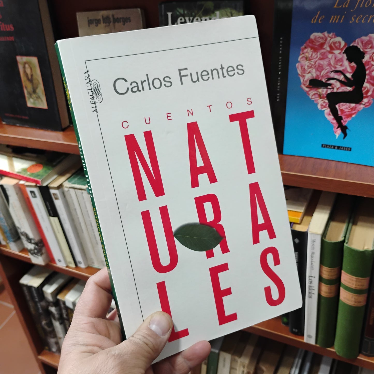 Cuentos NATURALES - Carlos Fuentes