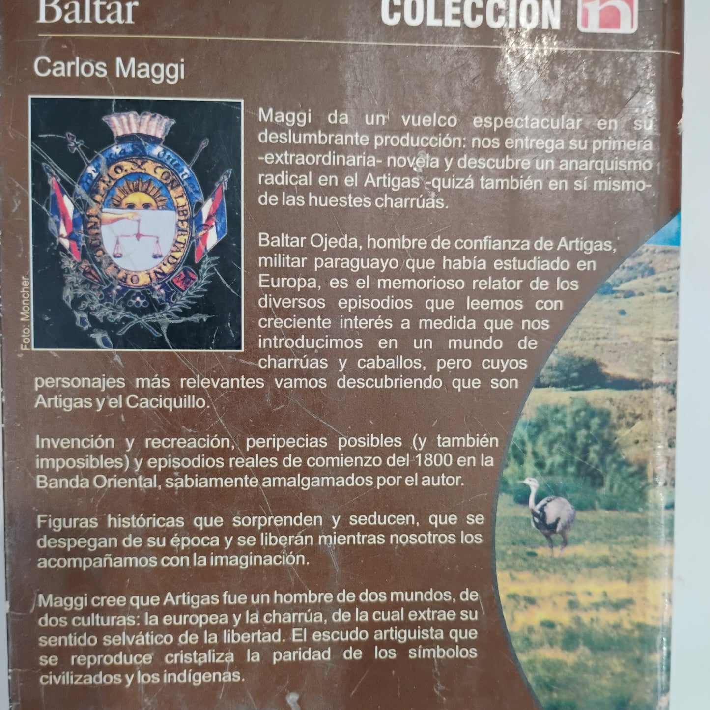 La guerra de Baltar - Carlos Maggi
